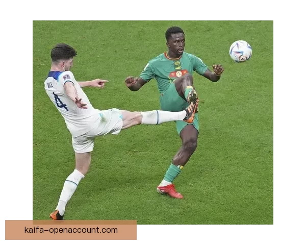 K8凯发登录平台全面解析:安全便捷的在线娱乐平台体验 K8凯发登录平台全面解析:安全便捷的在线娱乐平台体验